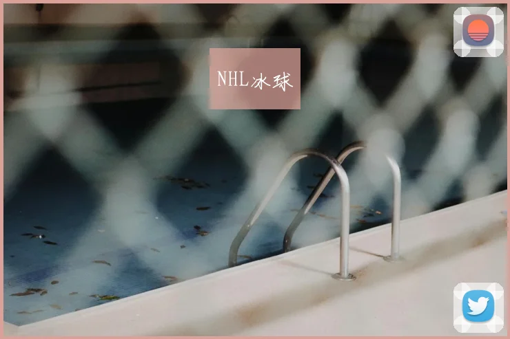 NHL冰球