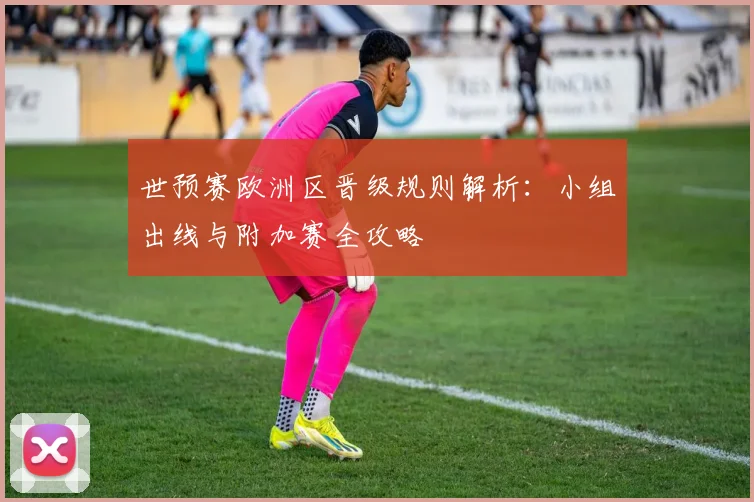 世预赛欧洲区晋级规则解析：小组出线与附加赛全攻略