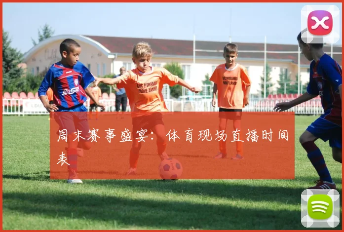 周末赛事盛宴：体育现场直播时间表